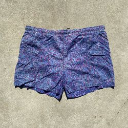Vintage 90s Nike ACG Hiking Shorts Sz XL/2X