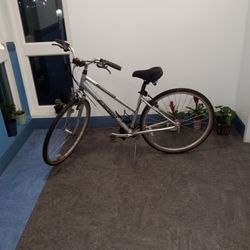 Specialized Crossroads Bike(Hybrid)