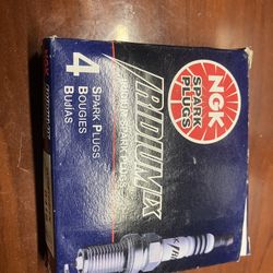 NGK Spark Plugs