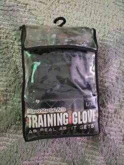 UFC gloves/lifting belt