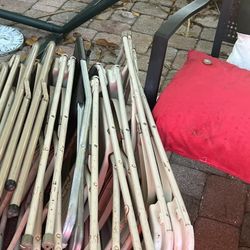 Lion Head Planter Plus2