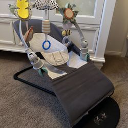 Baby Bjorn Bouncer