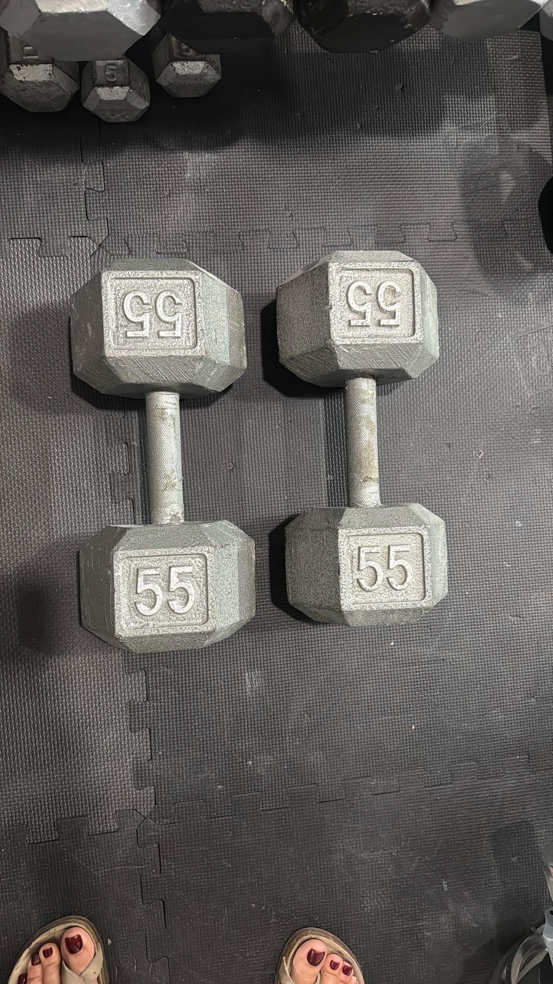 55 Pound Weights