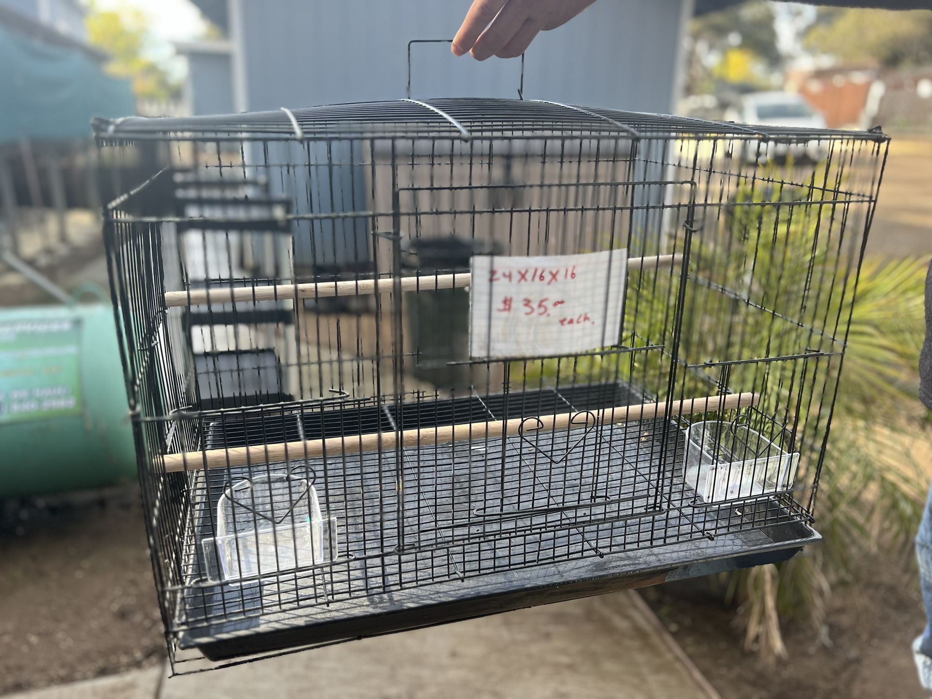 Bird Cage