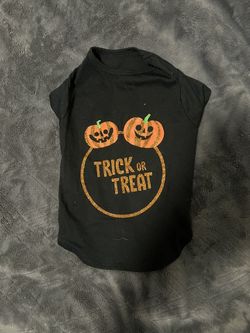 Dog clothes Halloween