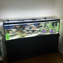 125 Gallon Fish Tank W/stand