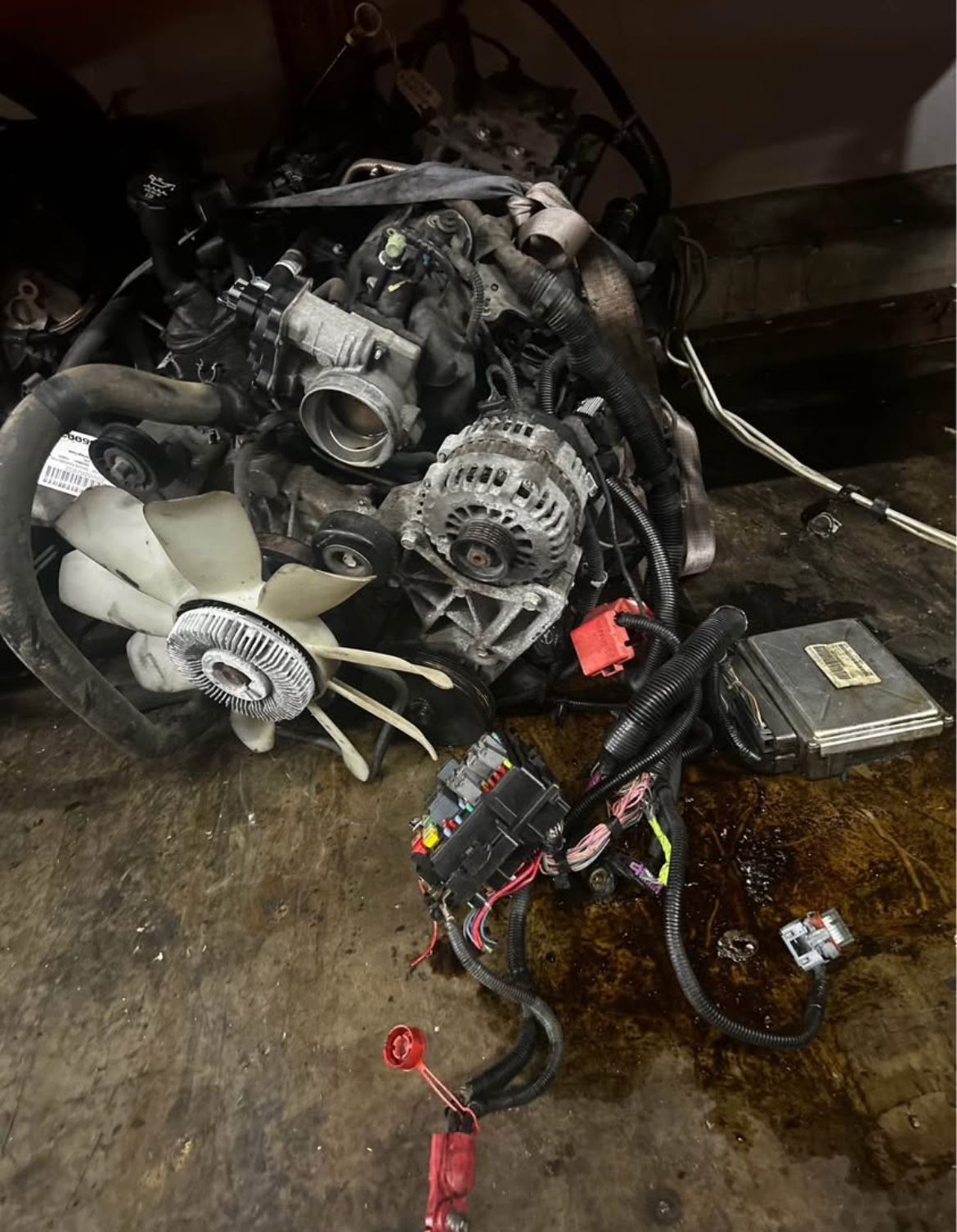 LS 5.3