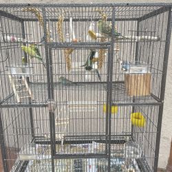 big bird cage for sale