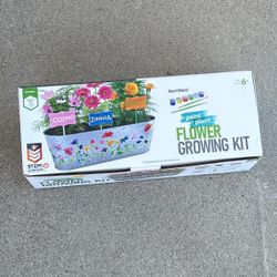 Paint And Grow Flower Pot