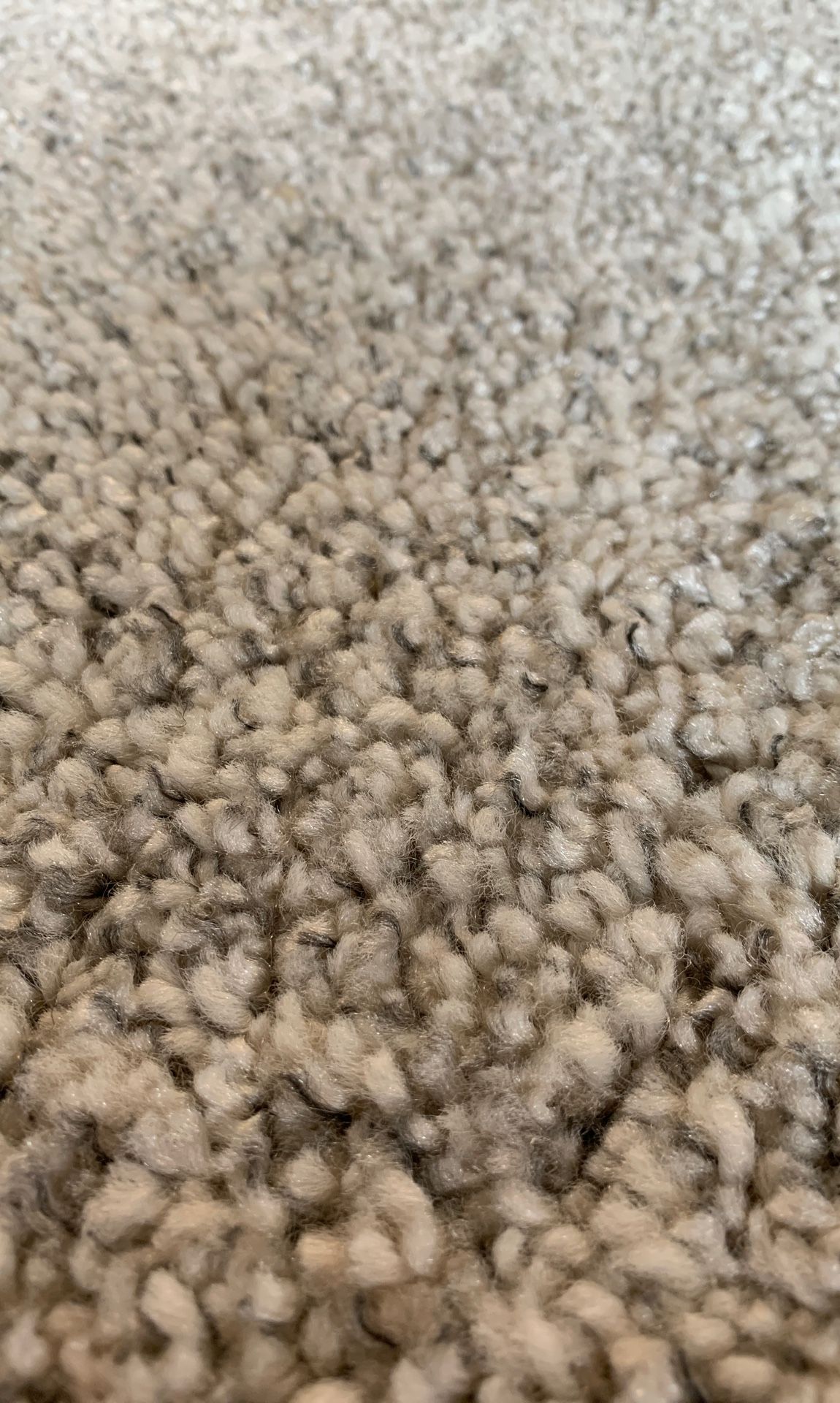 5’ 3” x 7’ 10” Alhede IKEA rug