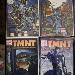 Teenage Mutant Ninja Turtles 1st print Mirage (Vol 4, 2002) Lot of 20  and More
