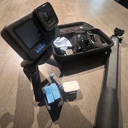 GoPro 10 