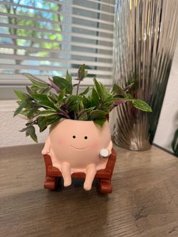 Ghost Rocking Chair Planter with drainage and Live Spiderwort 🌿👻