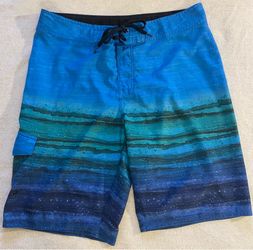 Hang Ten Board Shorts Size 34