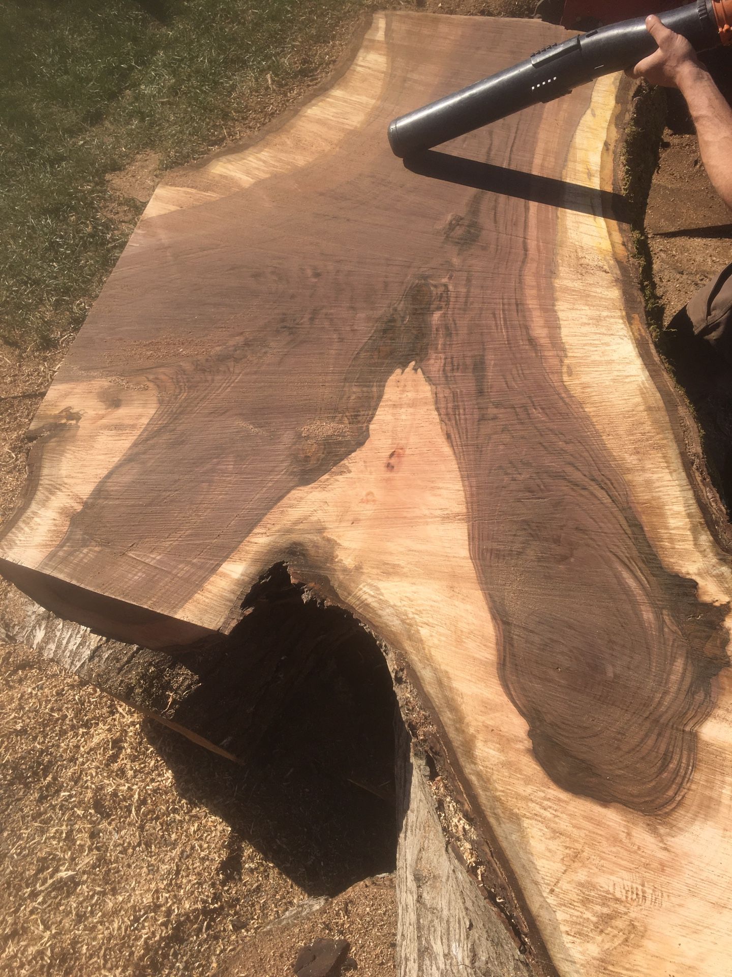 English Walnut Slabs Live Edge HUGE