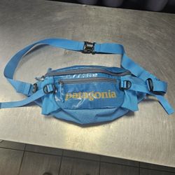New Patagonia Wastepack Waste Fanny Pack Rare