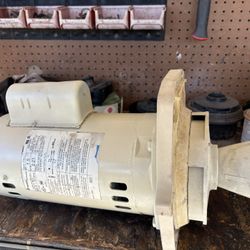 Swimming Pool Pump Parts And Motors