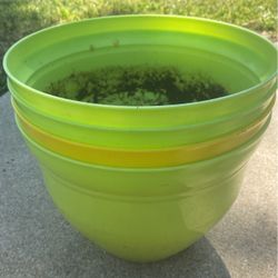Planter Each 