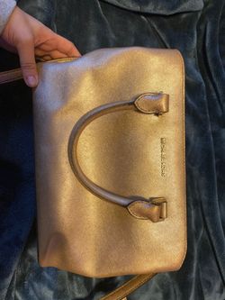 Large Michael kors purse with wallet