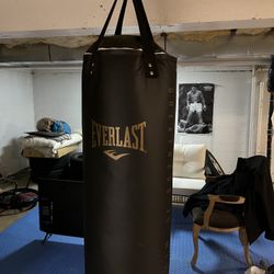 Everlast Punching Bag Power Core