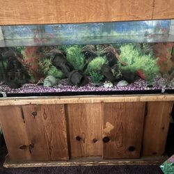 Fish tank 