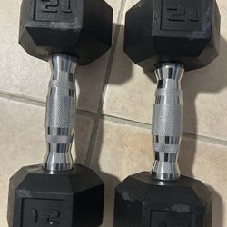 Dumbbell Set (12 Lbs)