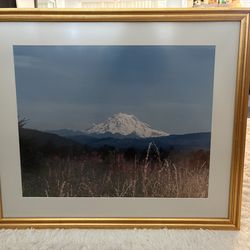 Mt.Rainier Framed Decor