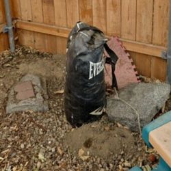 Everlast punching bag. It has been outside. Still in one piece