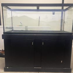 75 gal Fish Tank