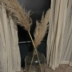 Pompas Grass And Glass Jar/vase
