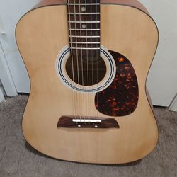 Guitar With Carrying Case