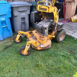 Yard Work/ Spring Clean Up 