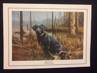 Print of Labrador dog, "Beam's Creek", Dennis Minor