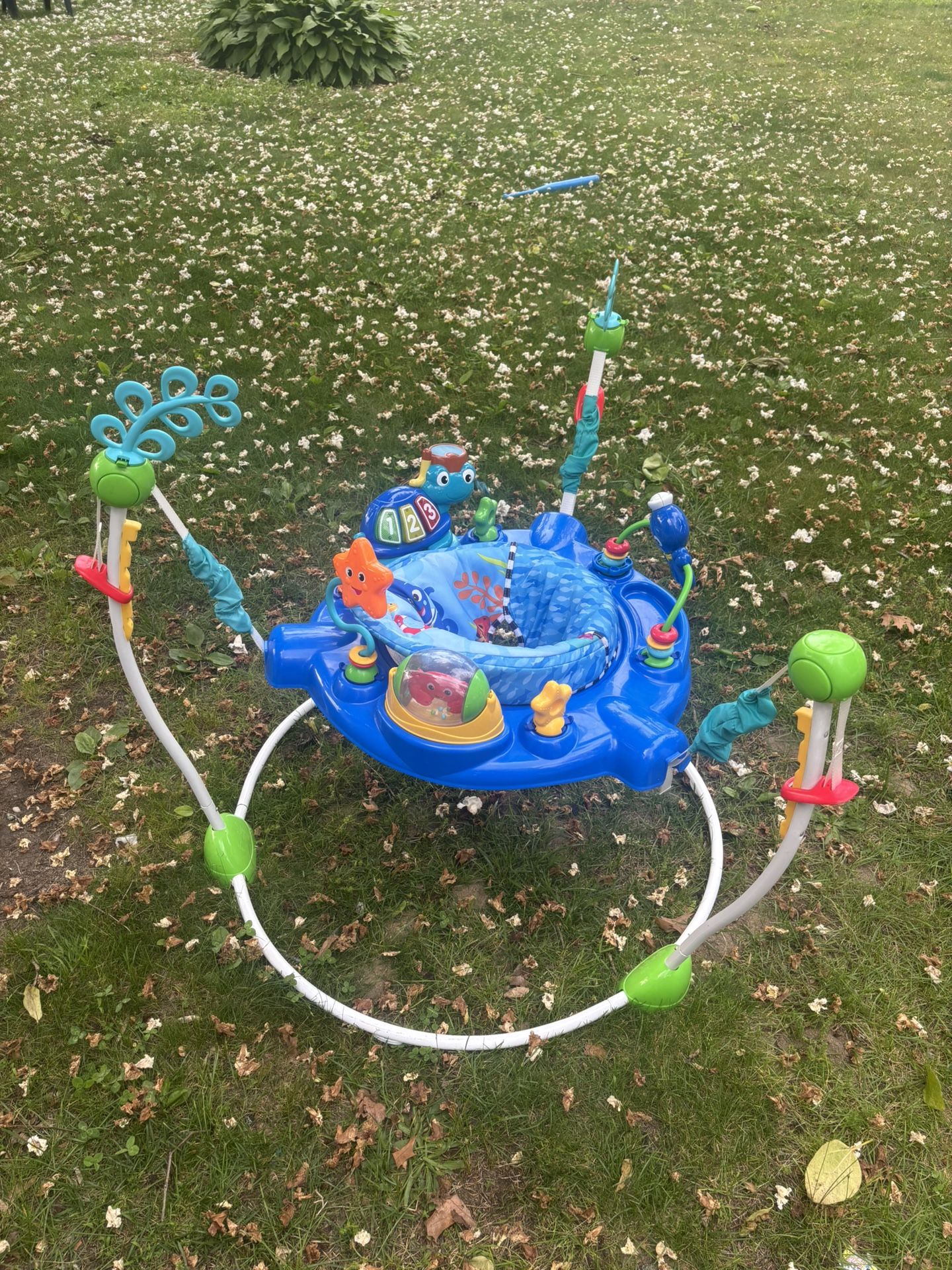 Baby Bouncer