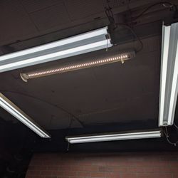 LED Lights