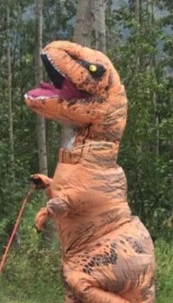 Costume