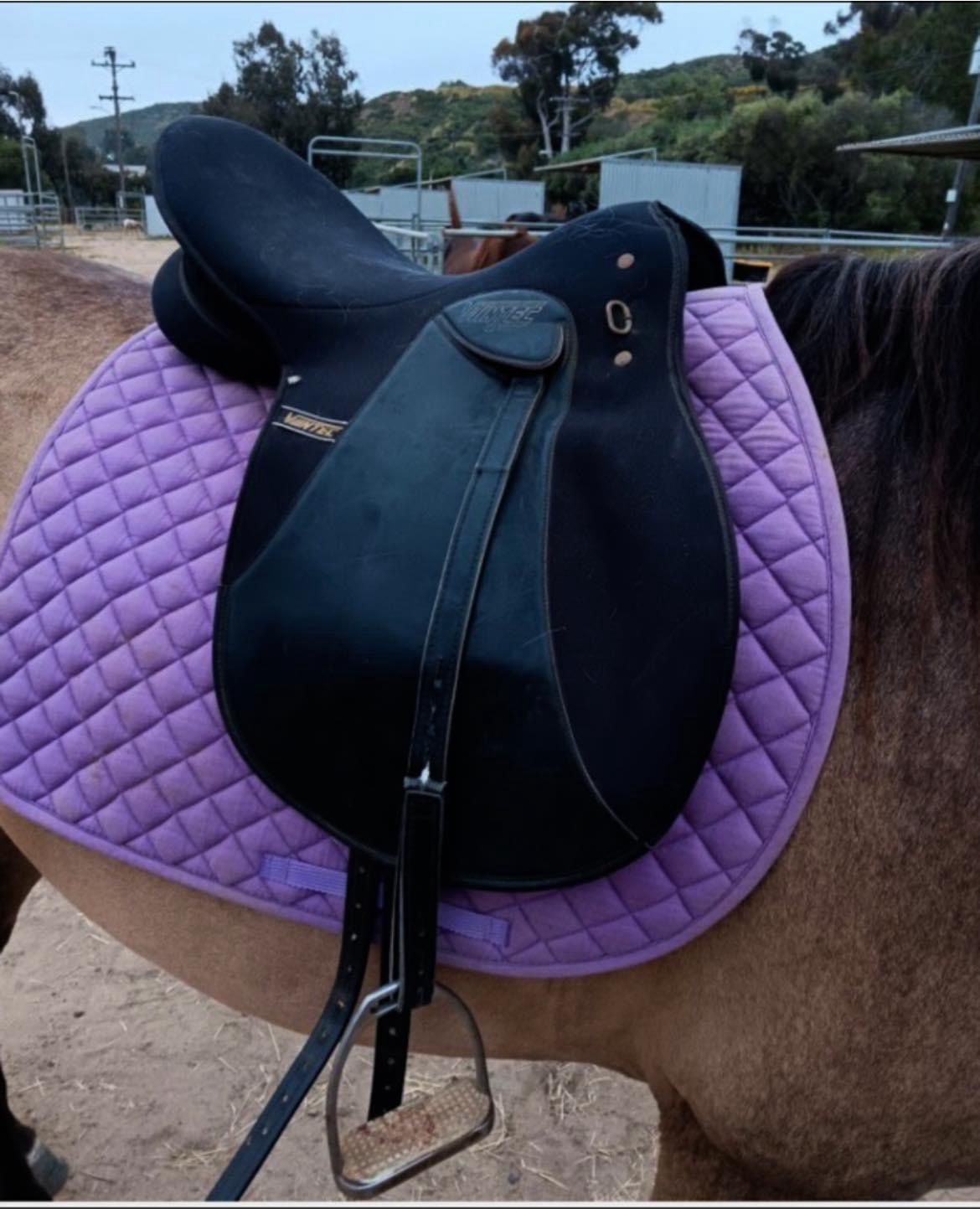 horse saddle