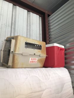Live animal container or Cooler (Sold Separately)