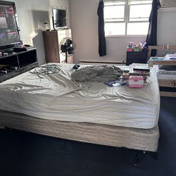 Queen Size Bed (mattress, box spring, frame)