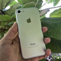 IPhone 7 Unlocked With Warranty 