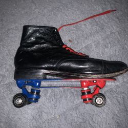 skates 