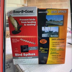 Bird Spikes