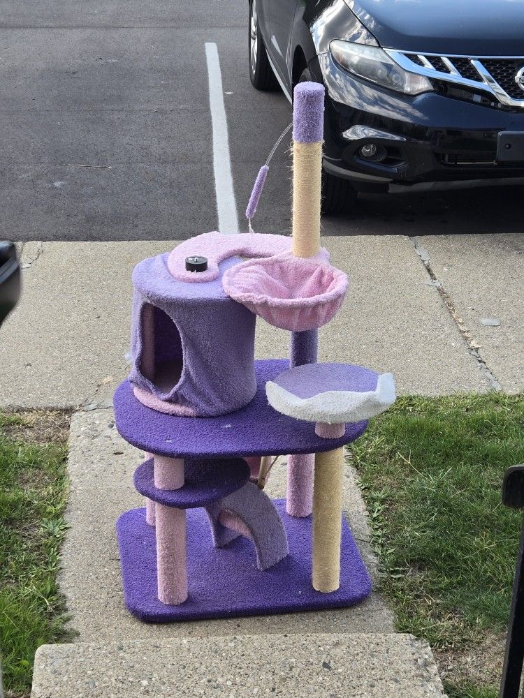 Purple Cat Tree