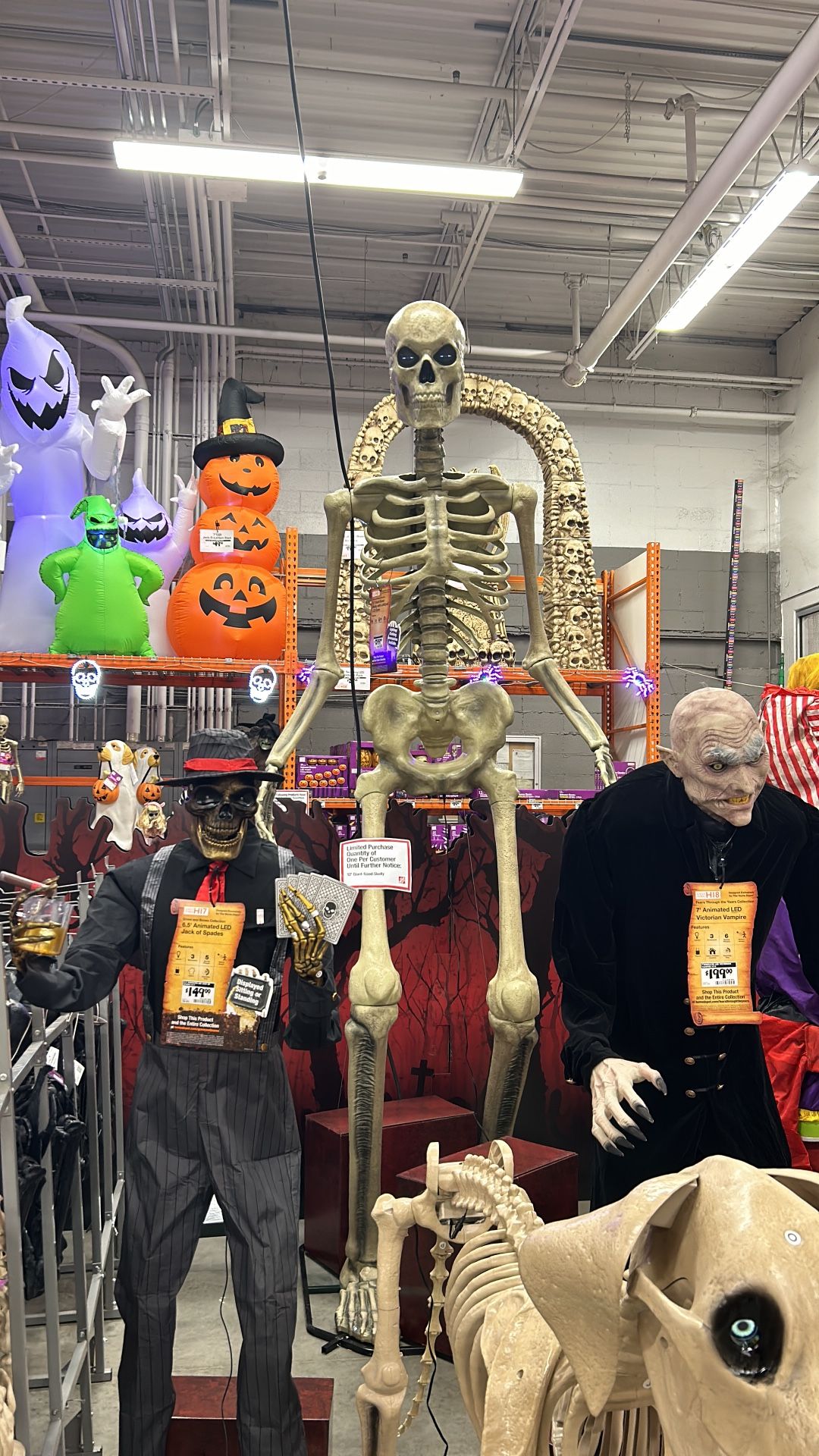 Ten Foot Halloween Skeleton