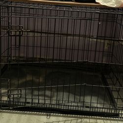 Dog Crate