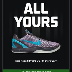 Kobe 6 ASG Hollywood 3D Size 11