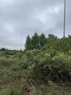 Land clearing