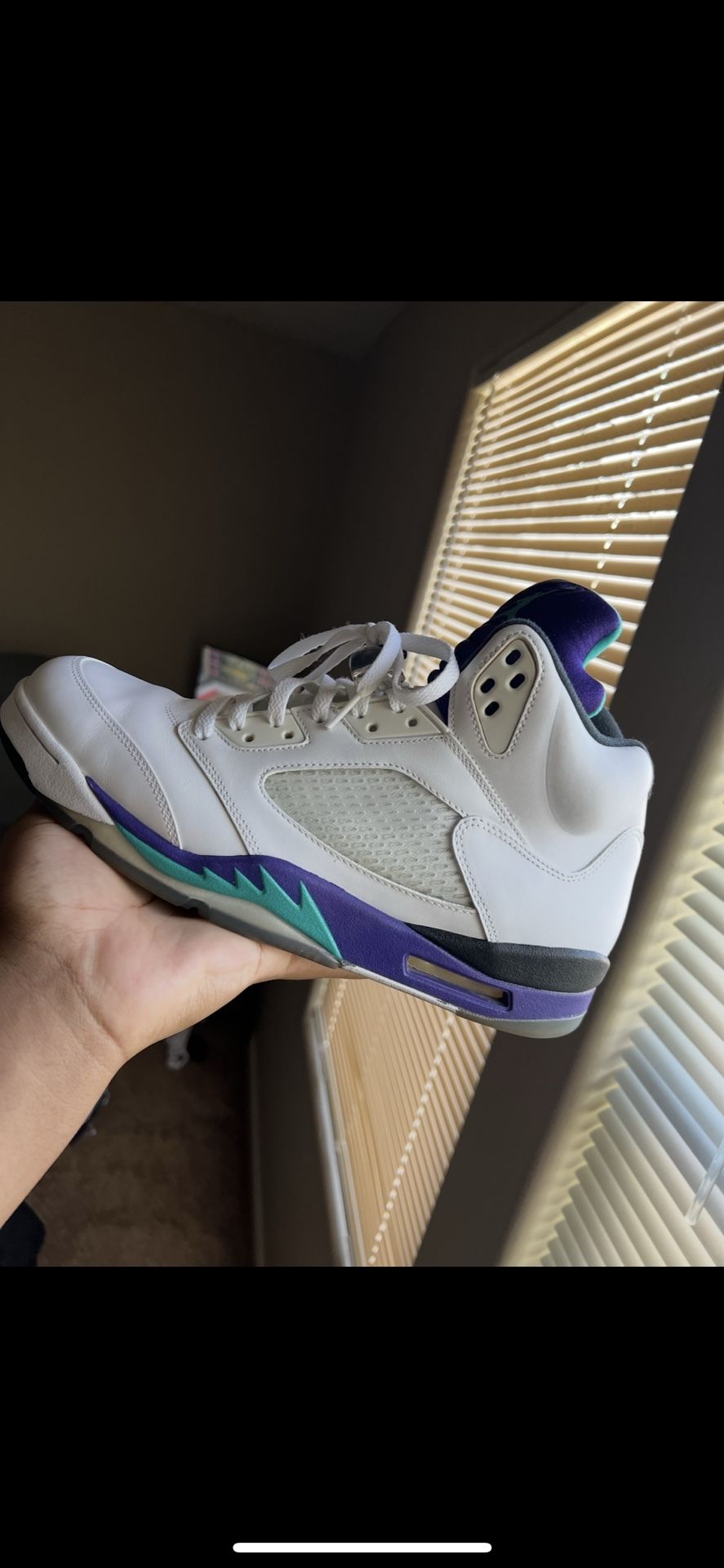 Air jordan grape 5 Size 12 (2013)