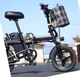 14" Foldable E-Bike 48v with rear seat