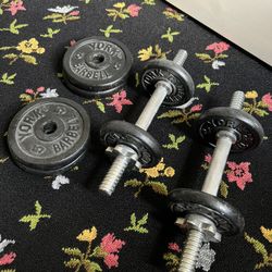Adjustable Dumbbells 30lbs 